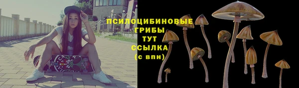 соль курить ск Бронницы