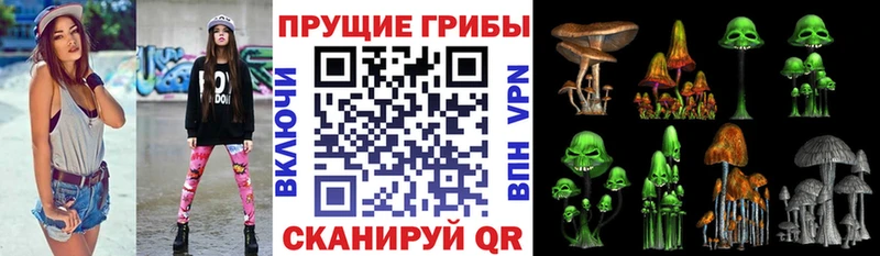 Купить закладки  Мамоново  Псилоцибиновые грибы мицелий 
